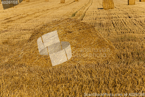 Image of Stack of straw