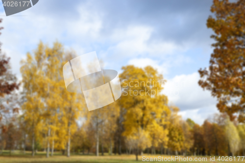 Image of autumn in the park
