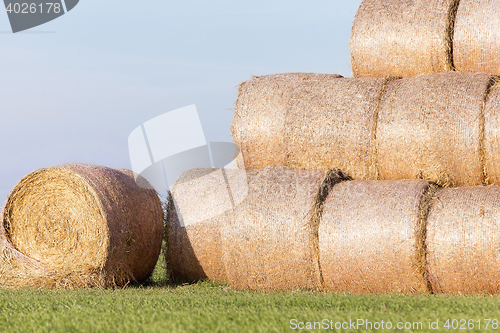 Image of stack of straw in the field