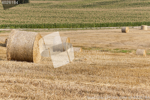 Image of stack of straw in the field