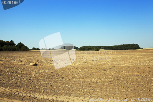 Image of plowed land, summer