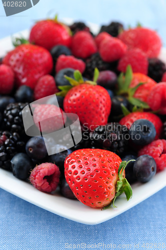 Image of Assorted fresh berries
