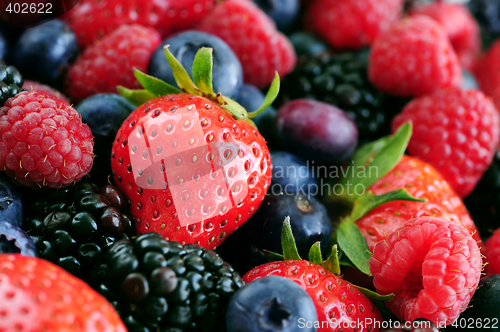 Image of Assorted fresh berries