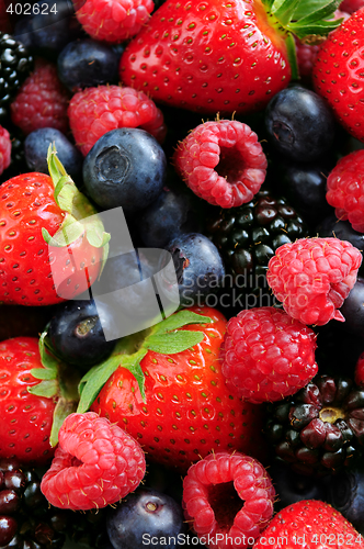 Image of Assorted fresh berries