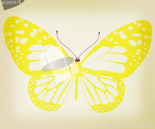 Image of beauty butterfly. 3D illustration. Vintage style.