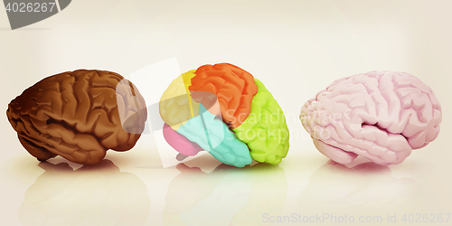 Image of Human brains. 3D illustration. Vintage style.