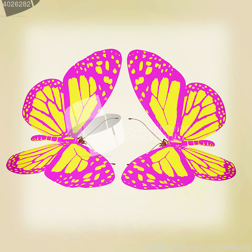 Image of beauty butterflies. 3D illustration. Vintage style.