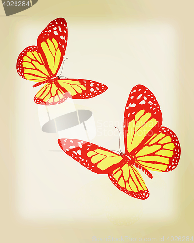 Image of beauty butterflies. 3D illustration. Vintage style.