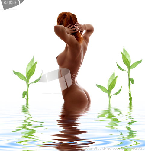 Image of redhead nude in water with green plants