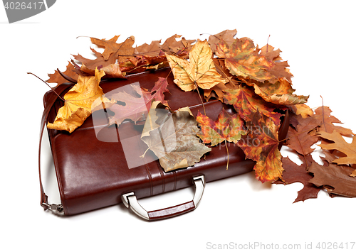 Image of Brown leather briefcase and autumn multicolor dry leaves