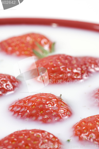 Image of strawberry and milk