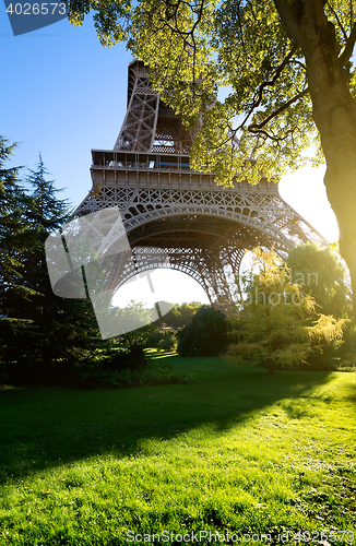 Image of Eiffel tower and trees