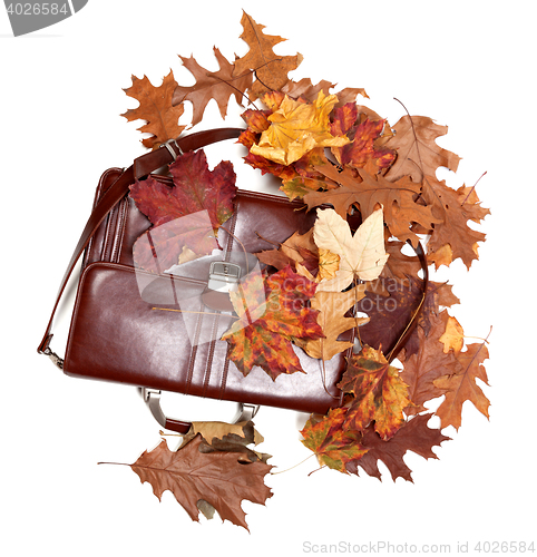 Image of Brown leather briefcase and autumn dry leaves