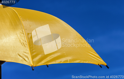 Image of Yellow Parasol