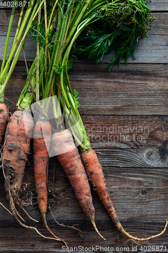 Image of raw carrots on the ground