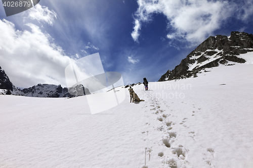 Image of Dog and hikers in snow mountain at sun day