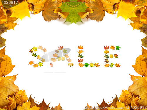 Image of Autumn maple-leafs background with word SALE composed of autumna