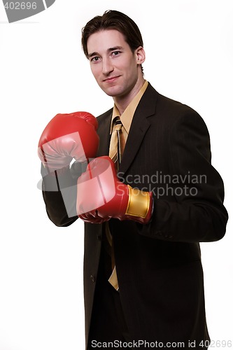 Image of Business boxer