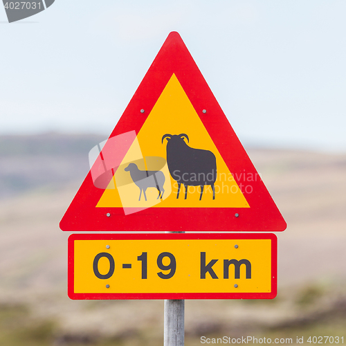 Image of Real Sheep Crossing traffic sign