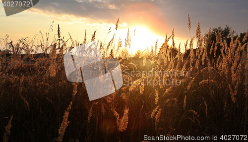 Image of sunset over field at autumn