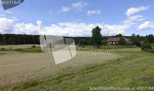 Image of Farmland