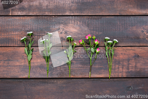 Image of The wooden table with roses, top view