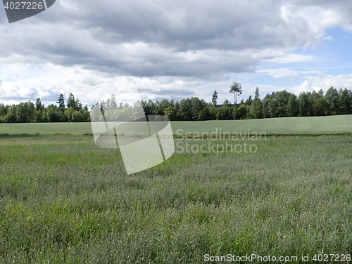 Image of Farmland