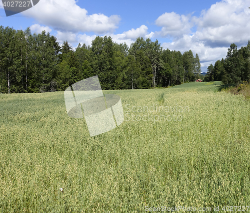 Image of Farmland