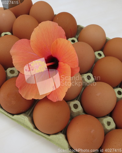 Image of Spanish eggs
