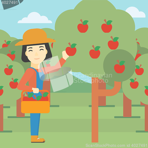 Image of Farmer collecting apples vector illustration.