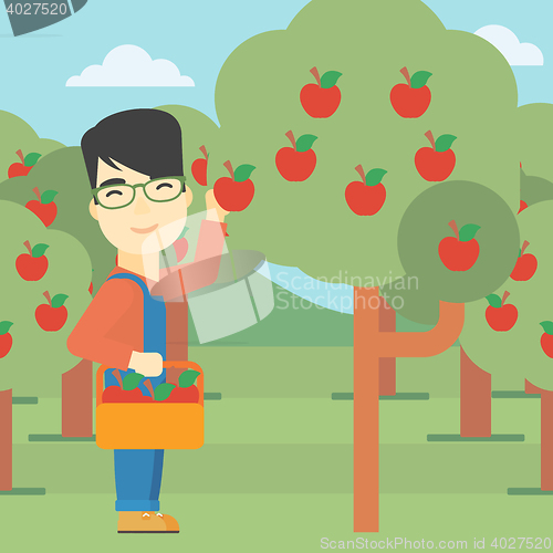 Image of Farmer collecting apples vector illustration.
