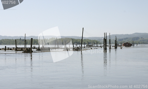 Image of The river