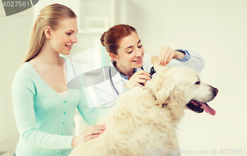 Image of happy woman with dog and doctor at vet clinic