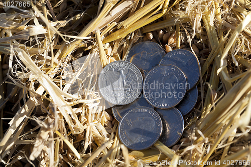 Image of coin in the straw