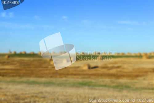 Image of stack of straw in the field