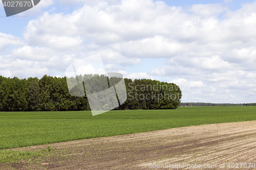 Image of plowed for crop land