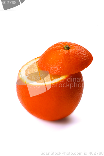 Image of orange