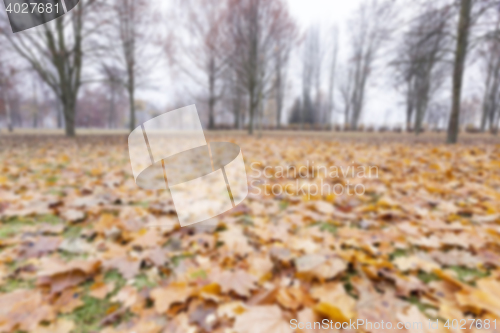 Image of Autumn Park, overcast