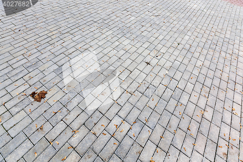 Image of paving tiles, close-up