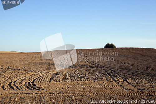 Image of plowed agricultural field