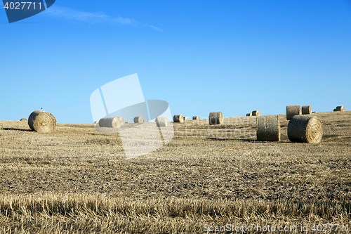 Image of stack of straw in the field