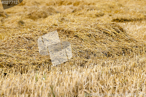 Image of background stack of straw