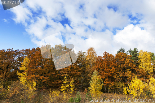 Image of Nature in autumn season