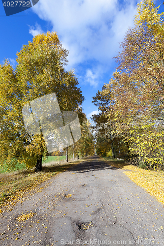 Image of Nature in autumn season