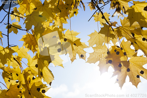 Image of Nature in autumn season