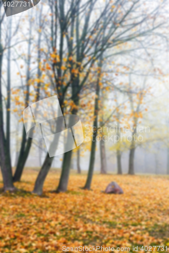 Image of Autumn Park, overcast