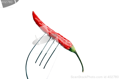 Image of red chili pepper on a fork