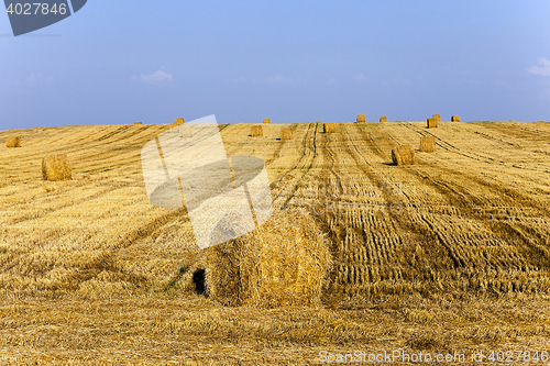 Image of stack of straw in the field