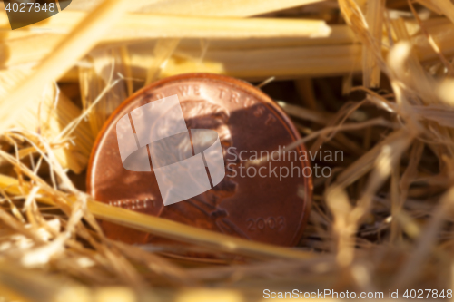 Image of coin in the straw