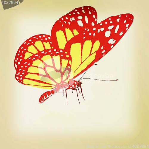 Image of beauty butterfly. 3D illustration. Vintage style.